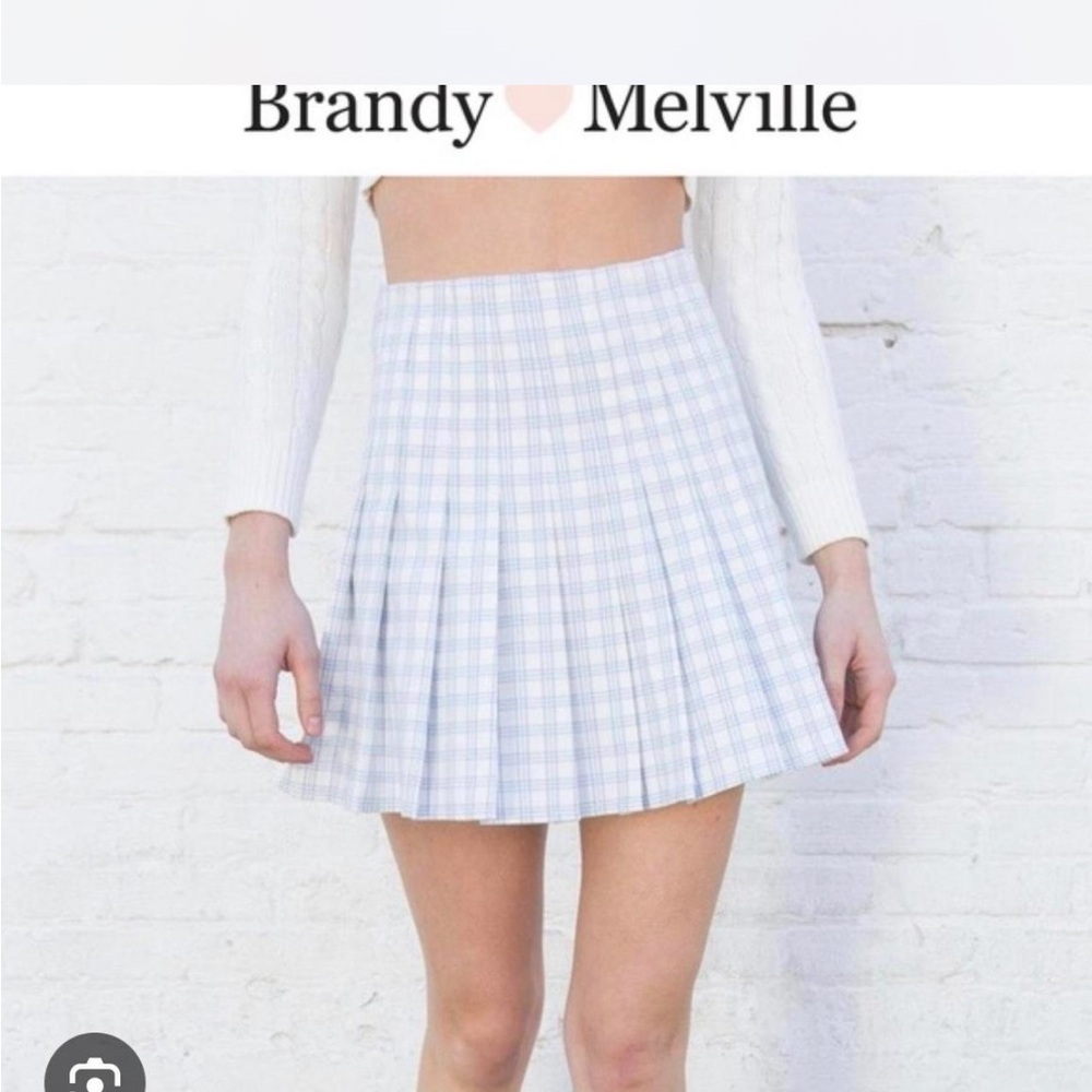 Brandy Melville Blue and white Plaid pleated Skirt